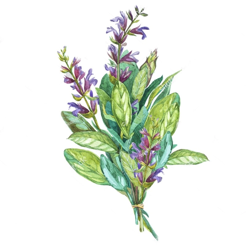 Lorem ipsum dolor sit amet 3